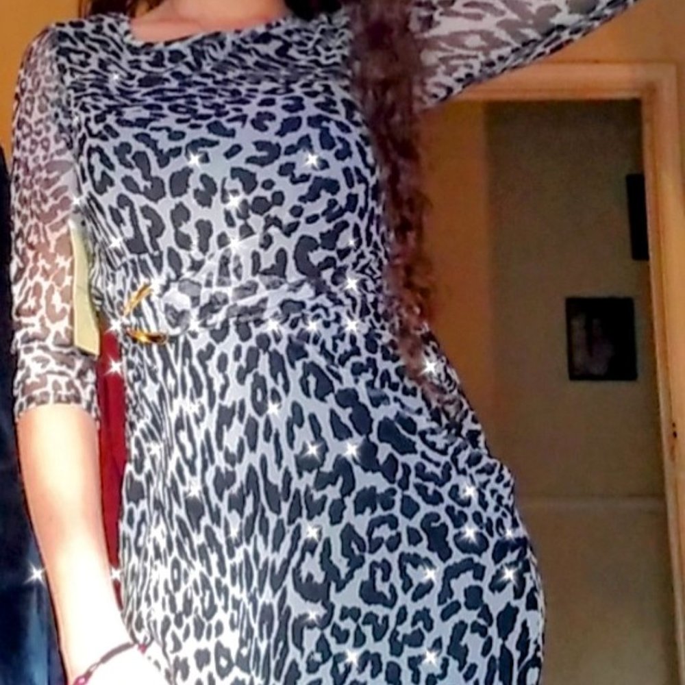 Rae Republic Sheer Layered Dress